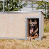 Insulated dog kennel