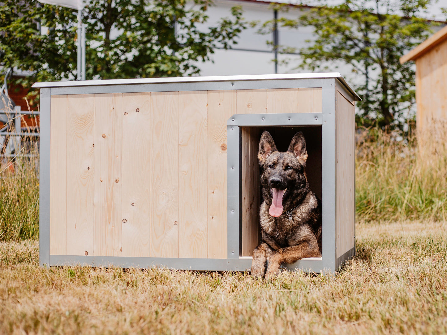 Insulated dog kennel