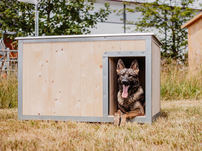 Insulated dog kennel