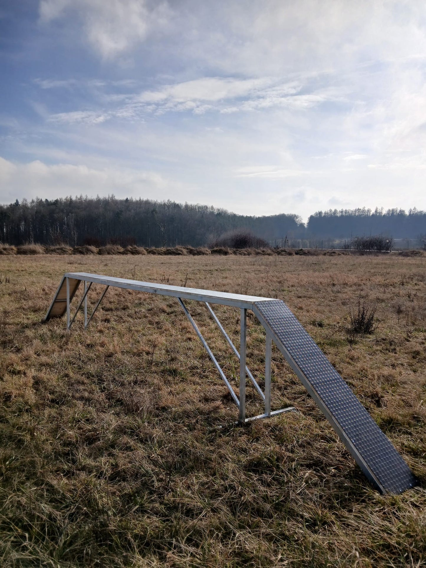 Výcviková kladina pro psy