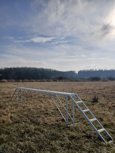 Výcviková kladina pro psy